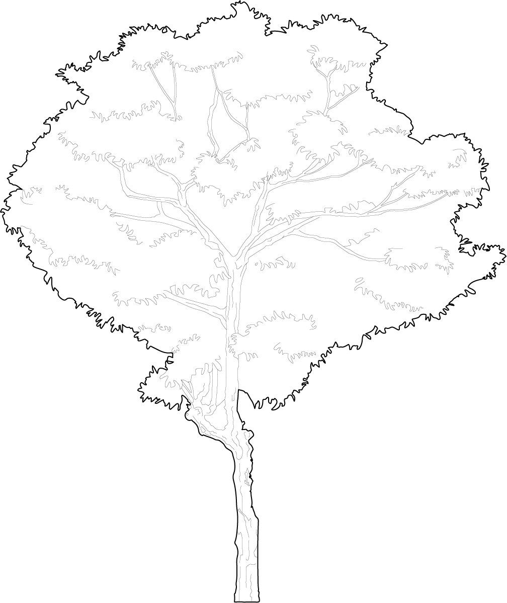 A round and old tree dwg trees