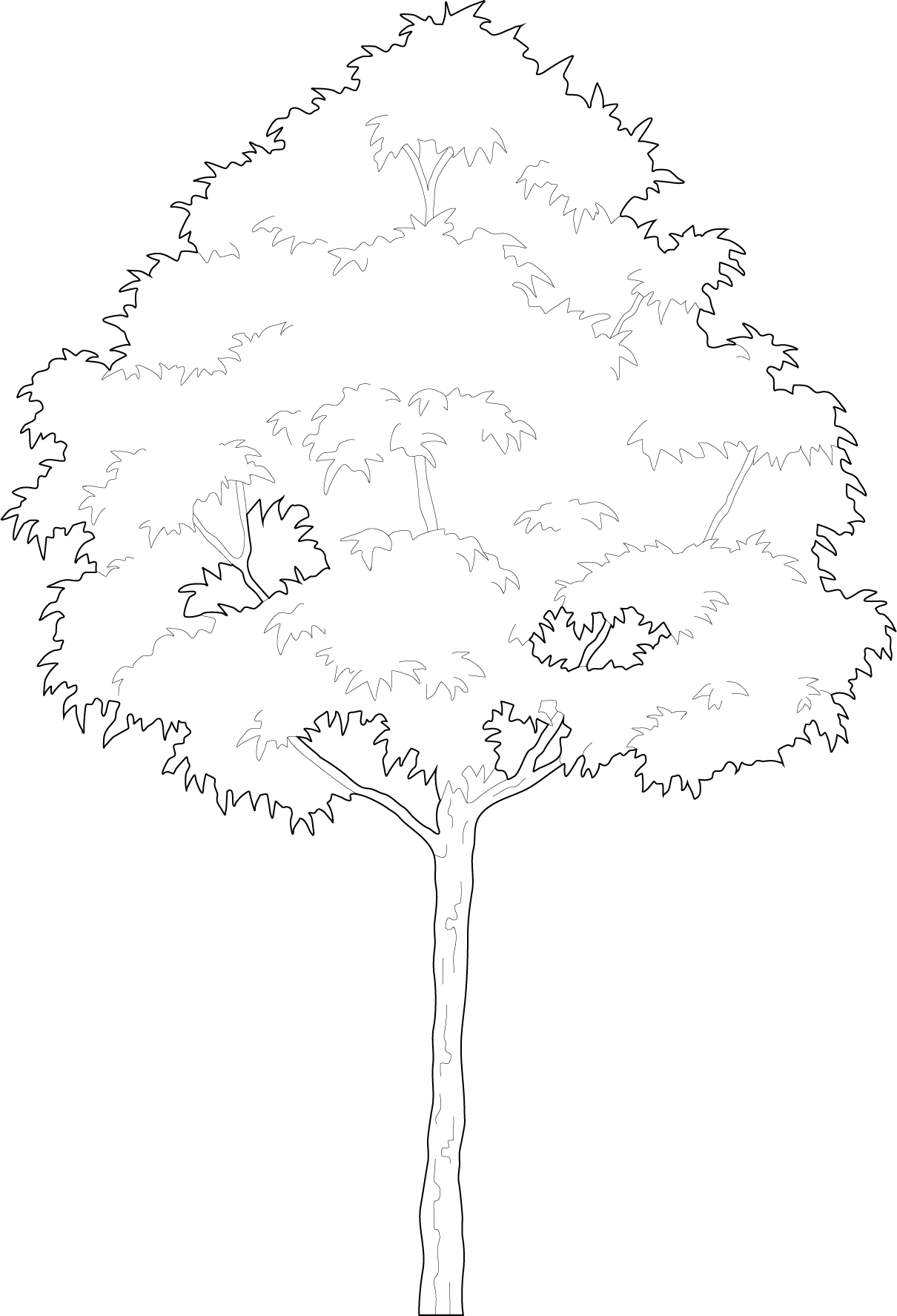 A round small tree 2d trees