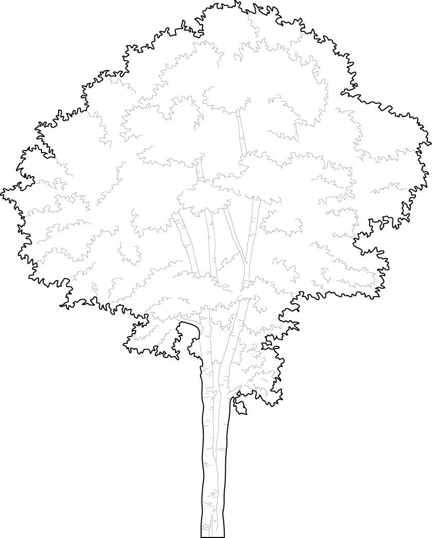 tree vector black