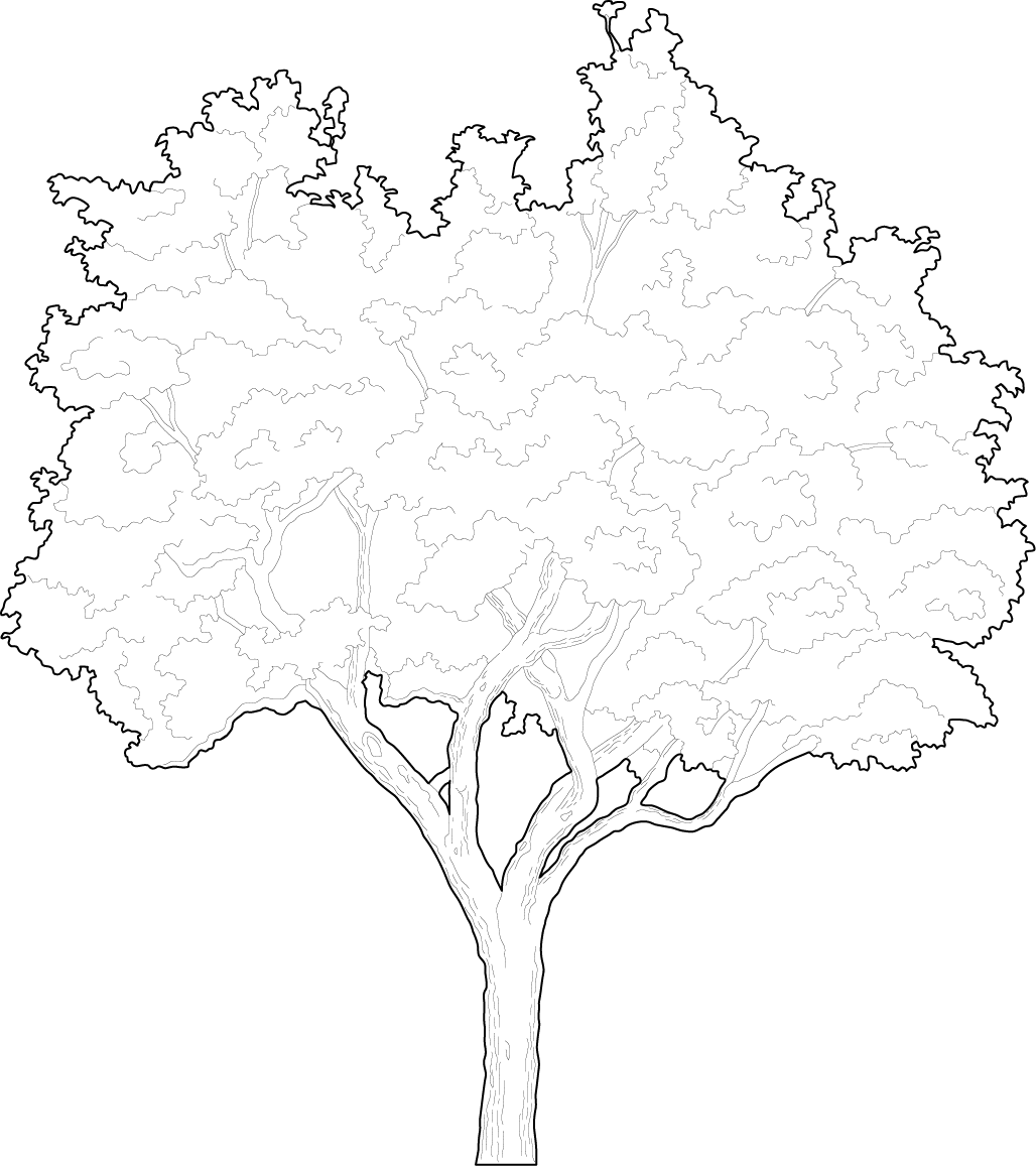 multi stem tree cad block free download