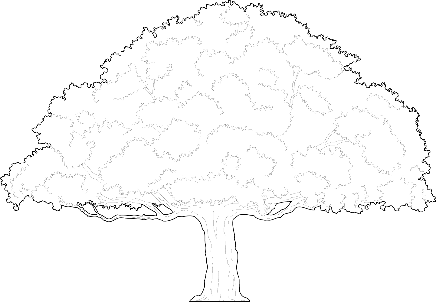 An old Oak tree cad trees - Free dwg & cad block | PIMPMYDRAWING