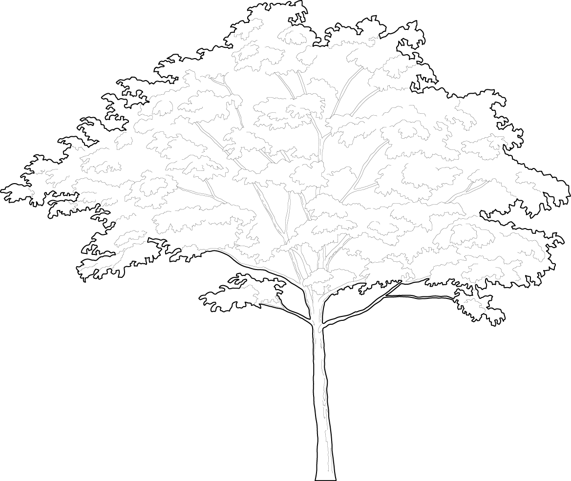 Beautiful Dogwood tree vector trees