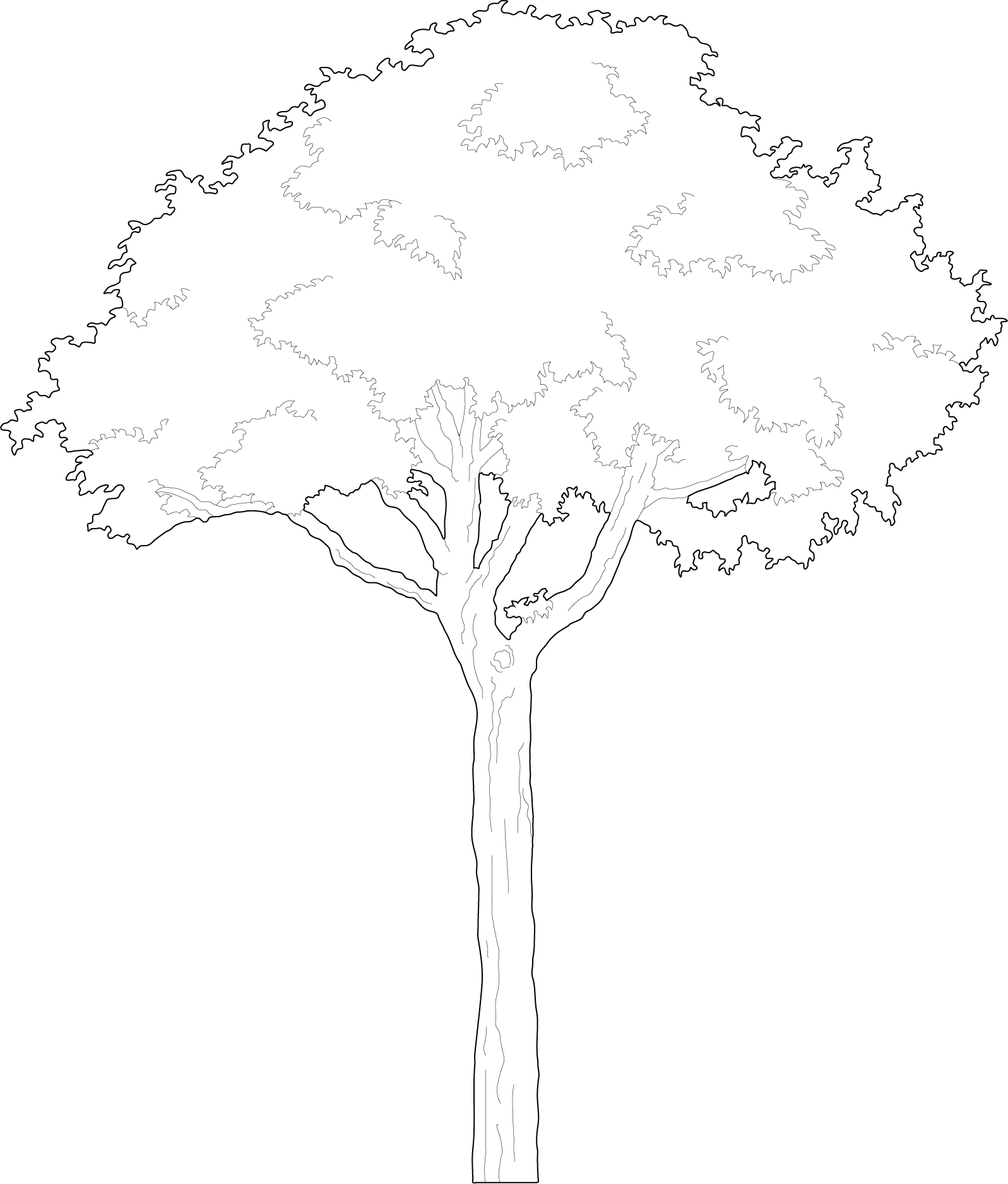 Clean and minimalist vector tree illustration for architectural projects and presentations cad blocks