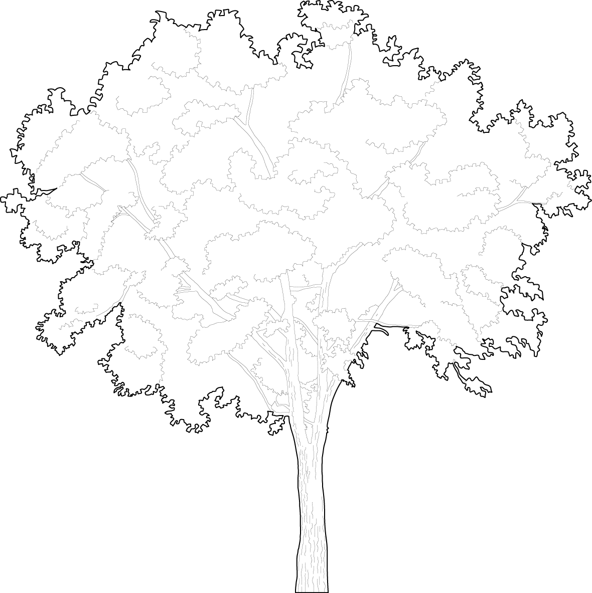 Deciduous tree cad trees