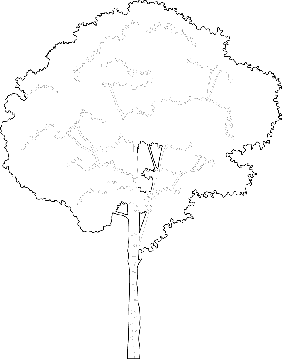 How to draw a tree cad blocks