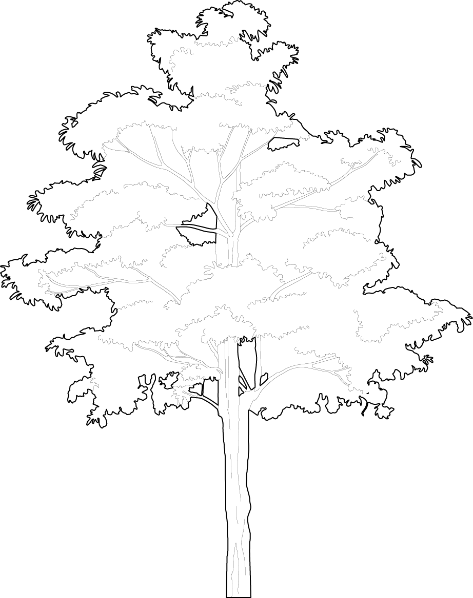 How to draw easy trees 2d trees