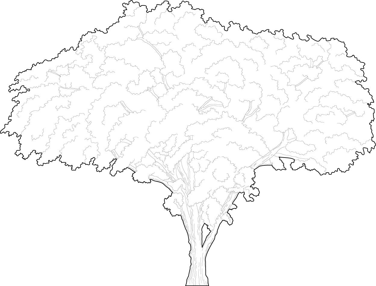 Mighty Elm tree elevation