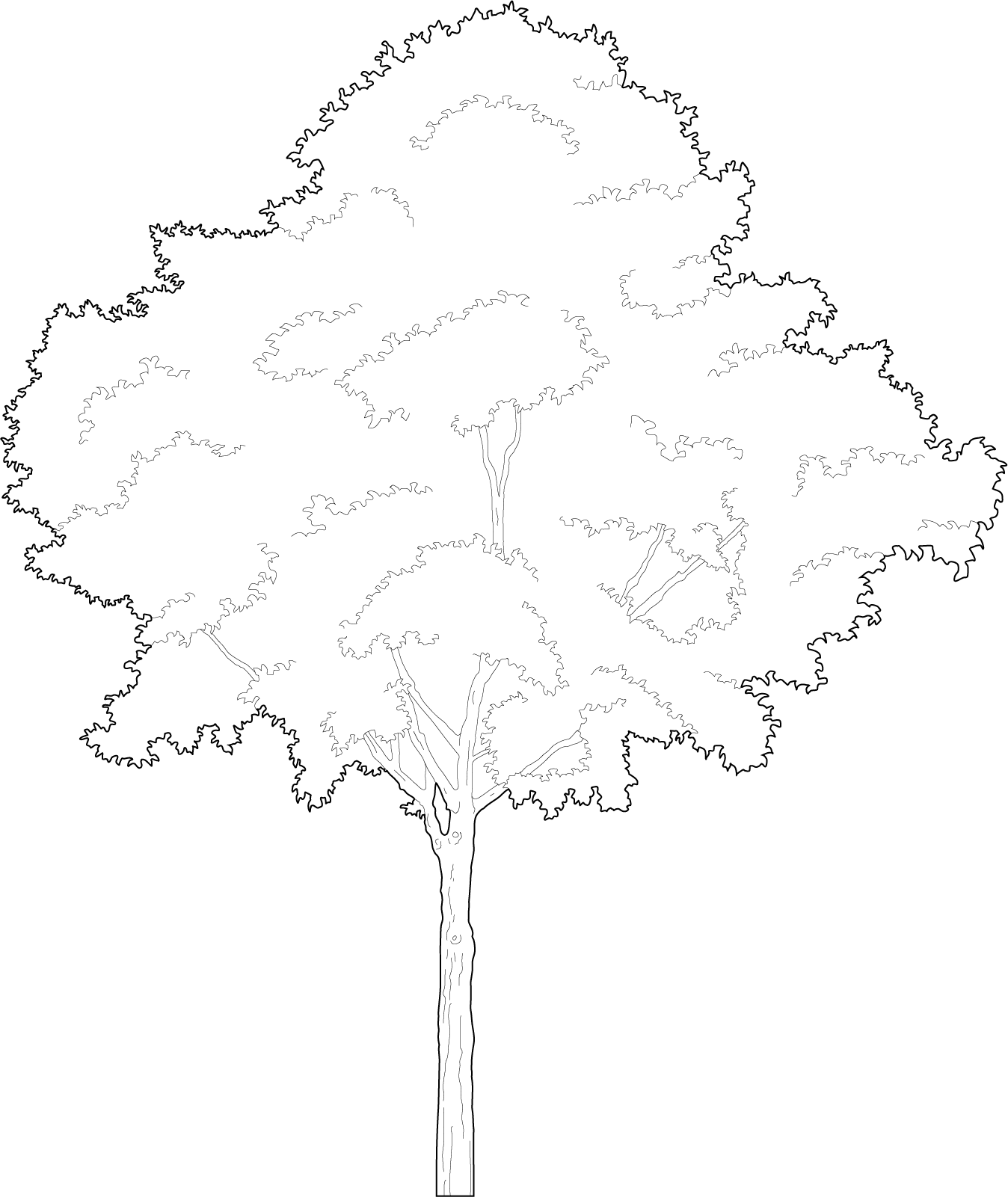 Simple and elegant black and white tree vector for architectural design use dwg trees