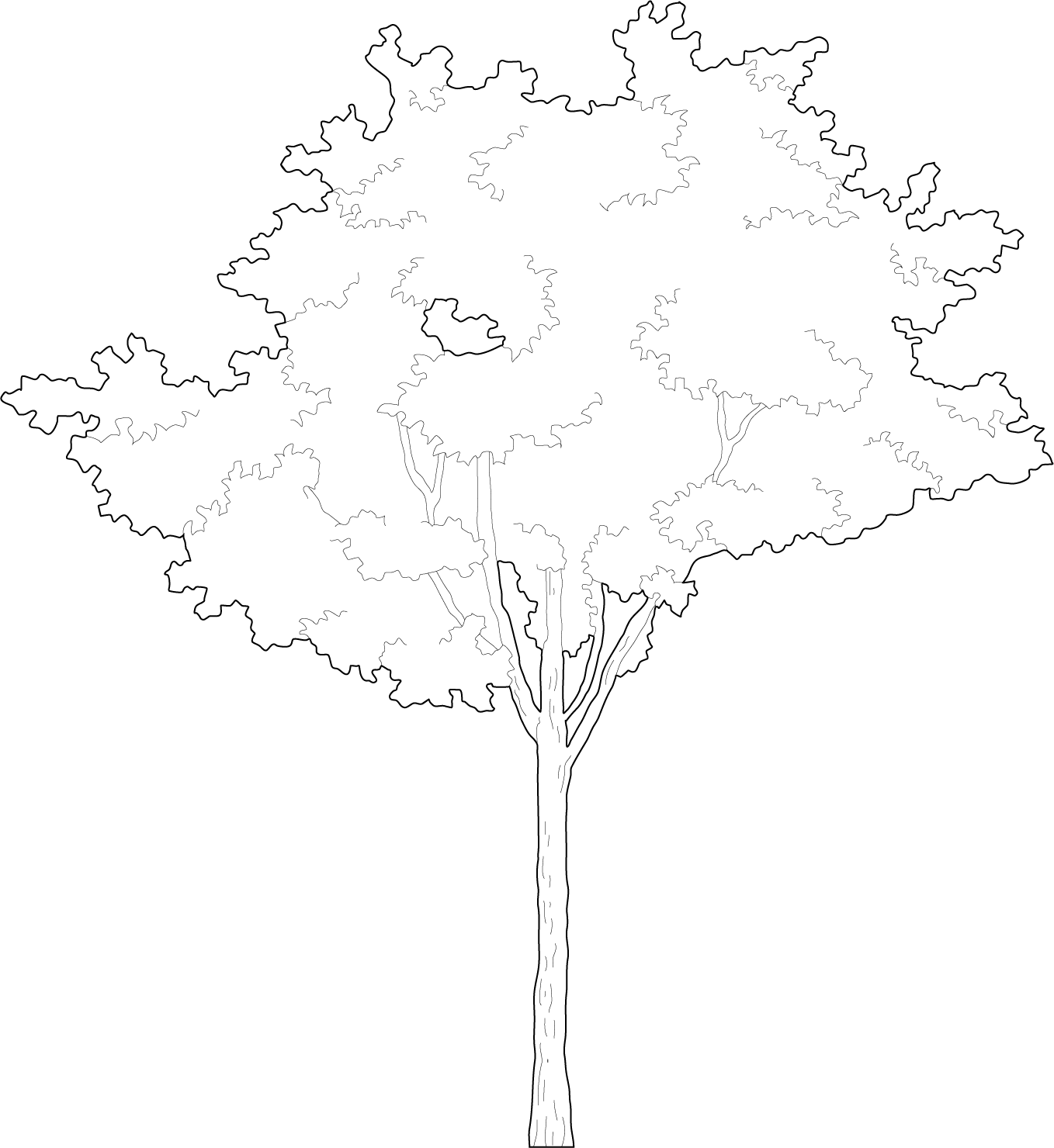 Small tree that will make any project look better cad trees
